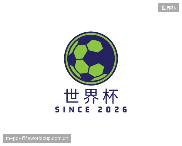 解读世界杯官网